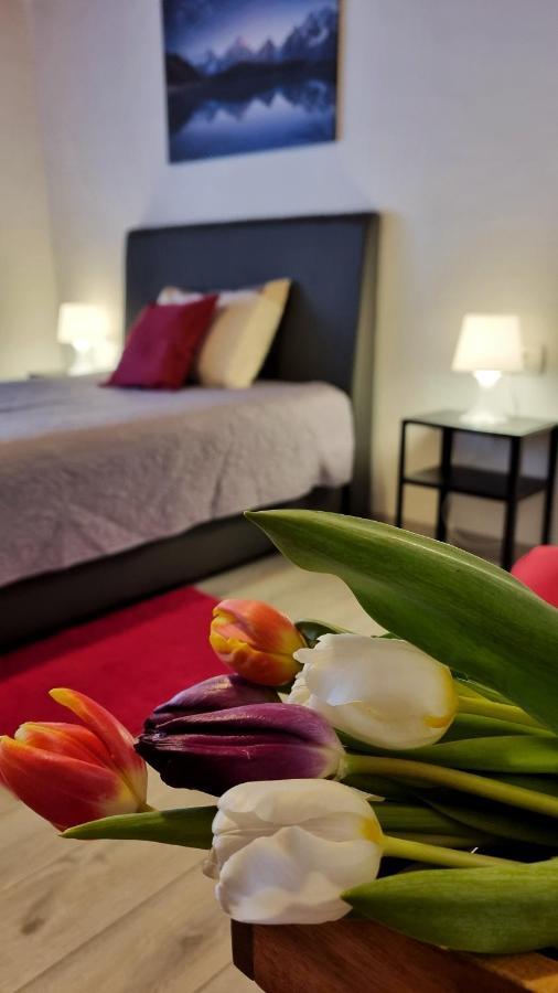 Apartment Stradun In The Heart Of Old City ดูบรอฟนิก ภายนอก รูปภาพ